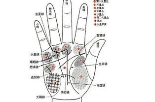 小指上四道纹|手象五大主要纹路完整介绍